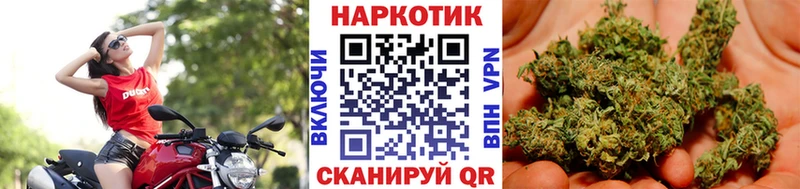 Купить закладку Галлюциногенные грибы  МЕФ  Вейп ТГК  МАРИХУАНА  КОКАИН  ГАШИШ  Верещагино