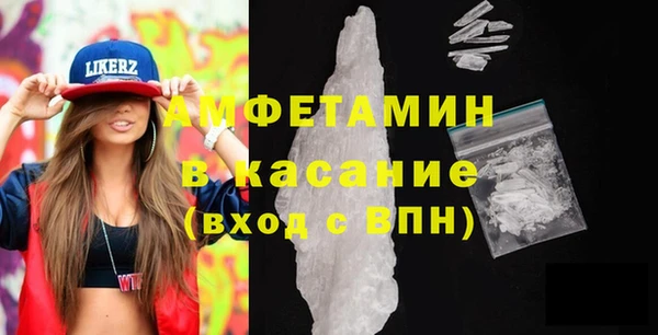 шишки Корсаков