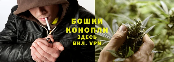 шишки Корсаков