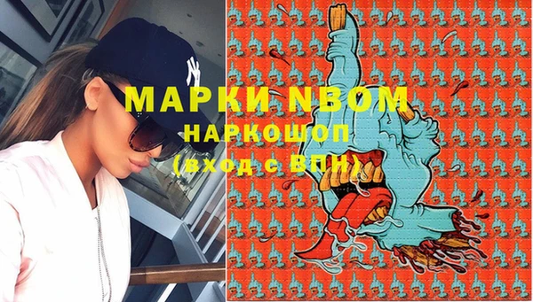 шишки Корсаков