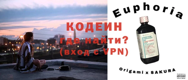 шишки Корсаков