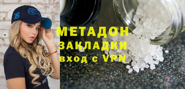 шишки Корсаков