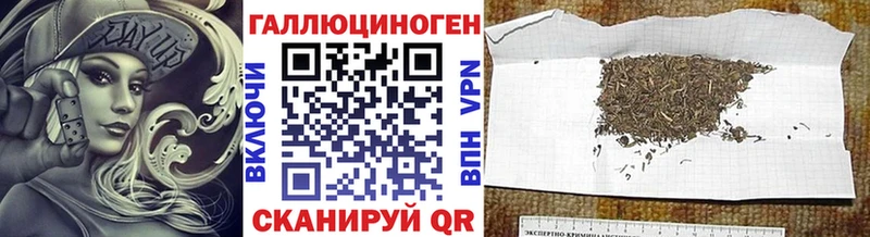Псилоцибиновые грибы Cubensis  Купить где  Верещагино 
